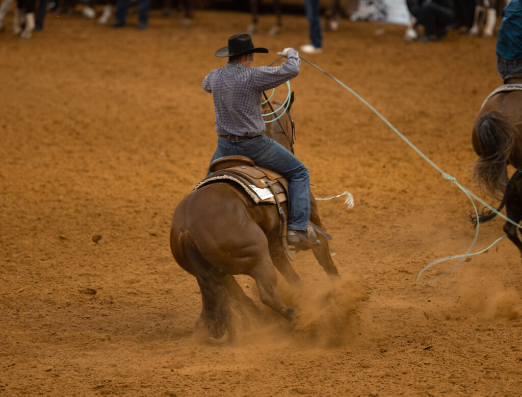 ARHFA Intermediate Heeling Results 2023 - The Team Roping Journal