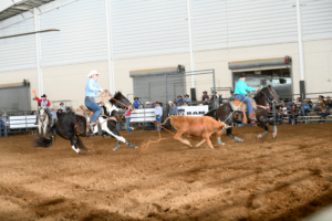 Dusty Taylor heeling a steer with Zane Murphy at the 2023 Mountain States Circuit Finals.