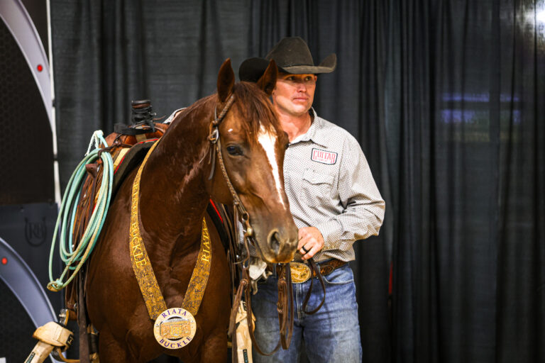 Waylon Davis Metallic Cat Heel Horse