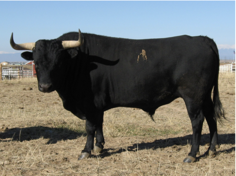 Screenshot 2023-11-30 at 3.21