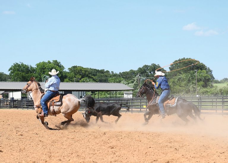 Dec_23_POINT1_ARV_5537