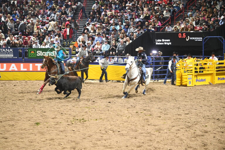 Luke Brown pulling his slack on his steer in the first round of the 2023 NFR.