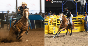Clay Smith Apache Promise Rope Horse