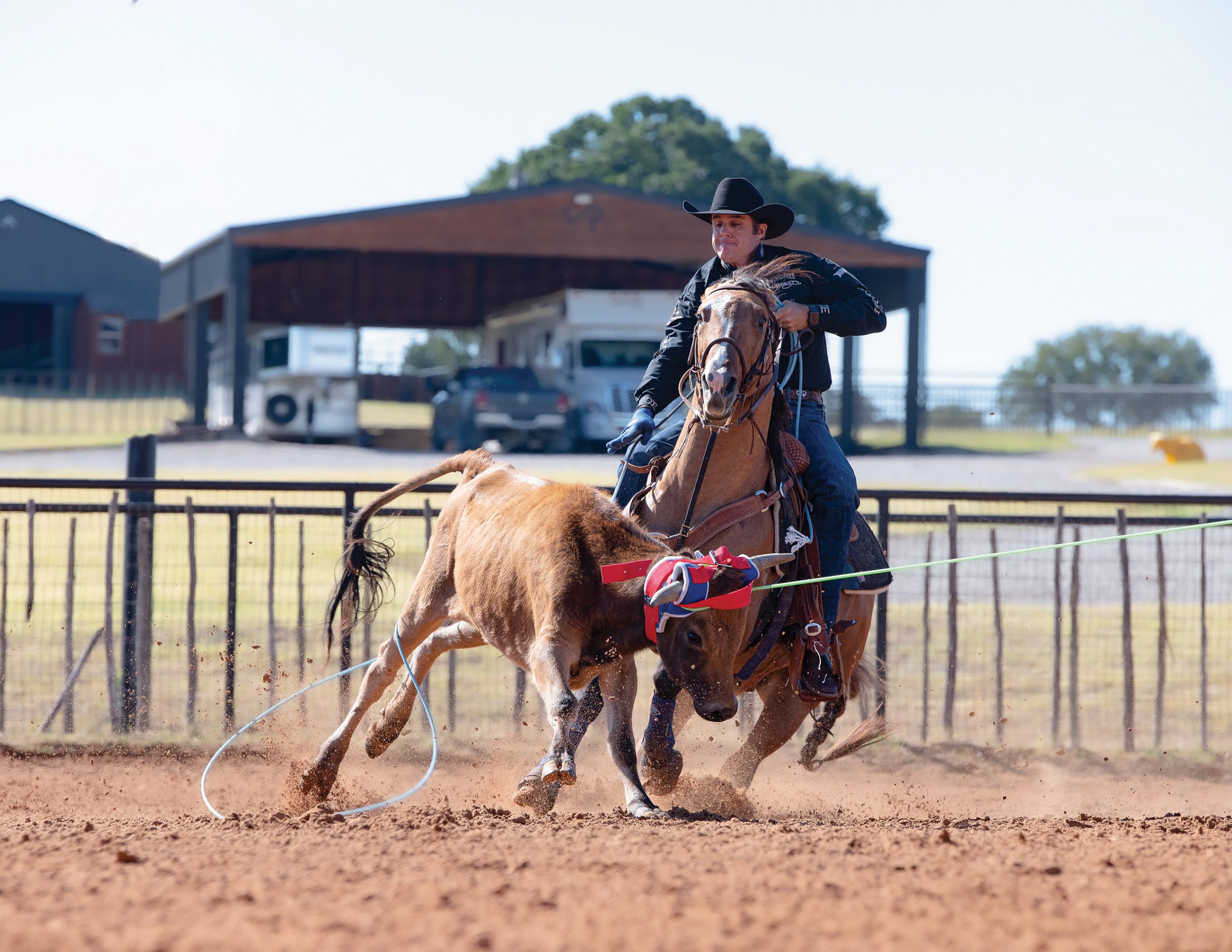 Patrick Smith heeling on stallion WSR Hesa Dunofa Lena