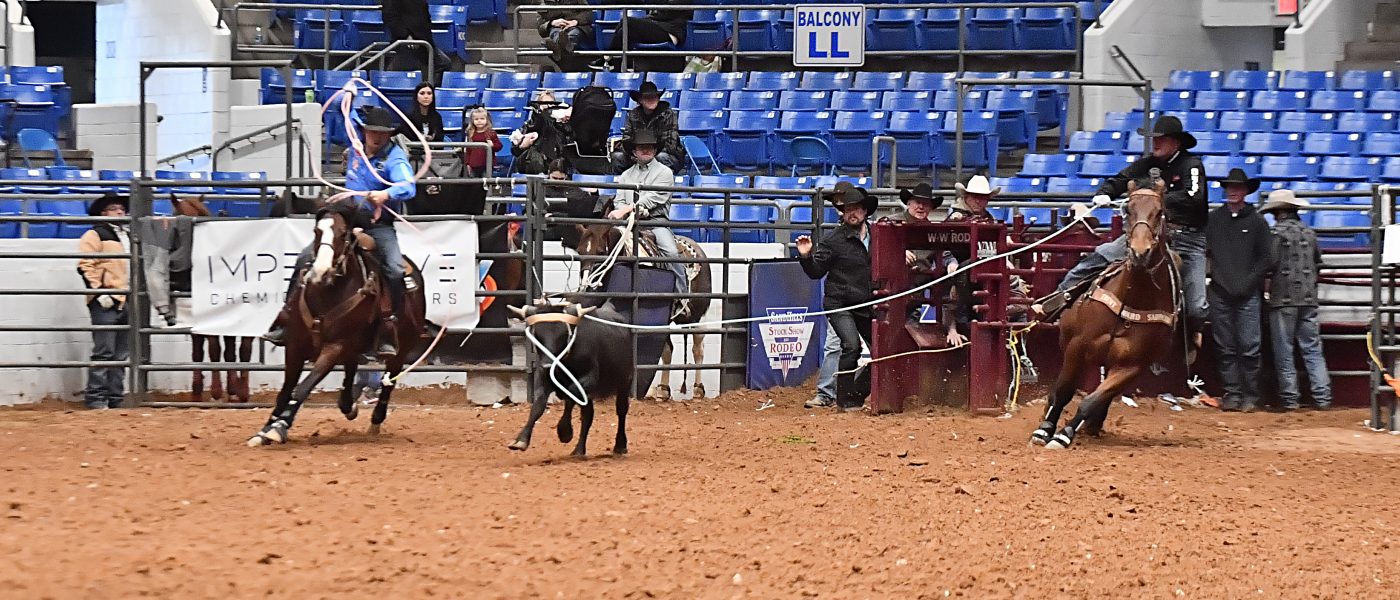 Dustin Egusquiza turning a steer for Levi Lord at the 2024 Sandhills Stock Show & Rodeo.