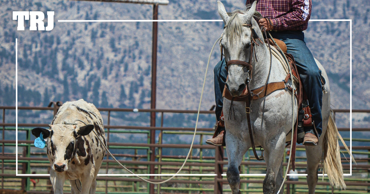 The Roadmap to Success: Setting Good Team Roping Goals