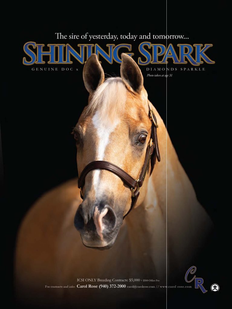 Rope Horse Breeder's Guide Stallion Shining Spark