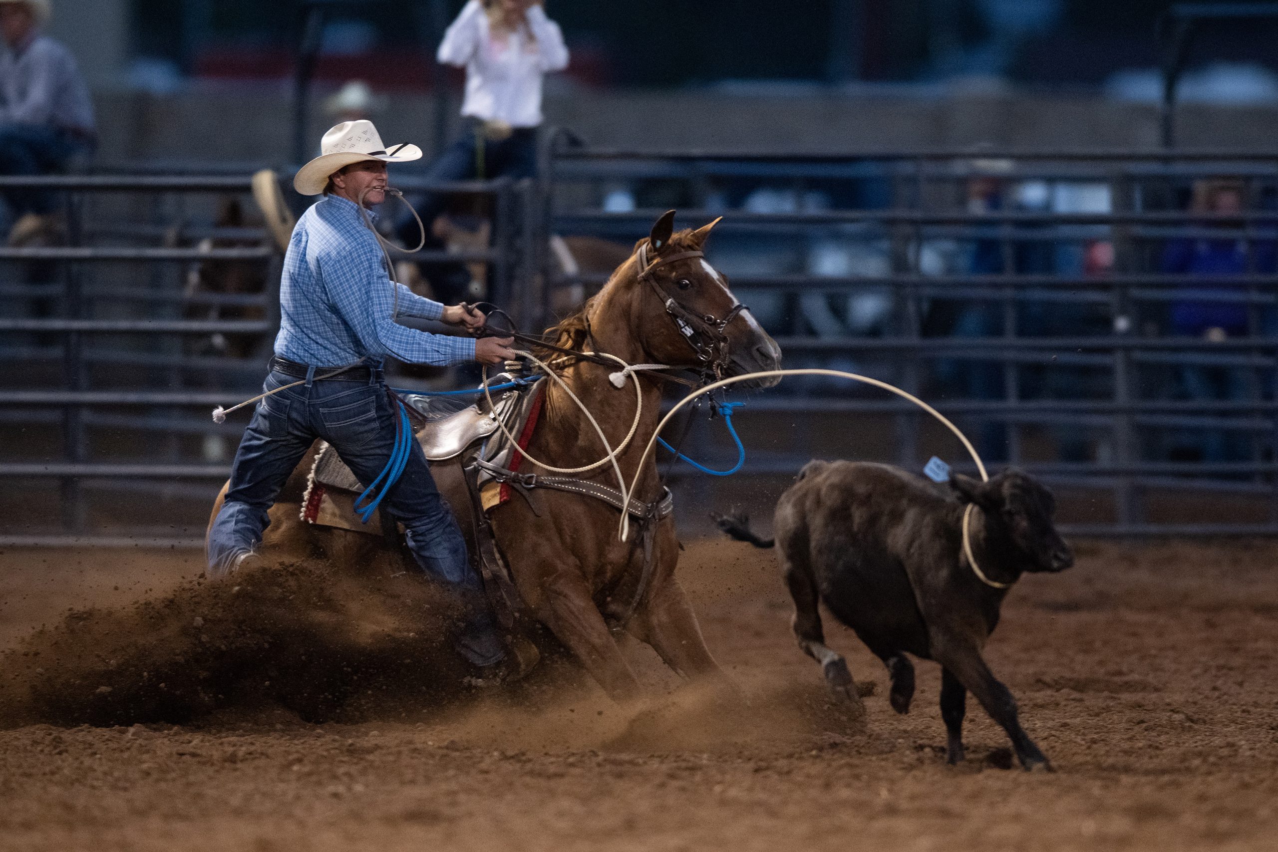 Dylan Hancock calf roping at Heber City in 2023.