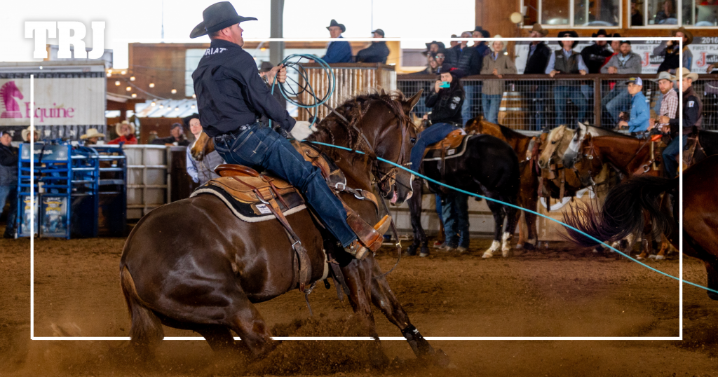 Relentless Remuda's Record Earnings The Team Roping Journal
