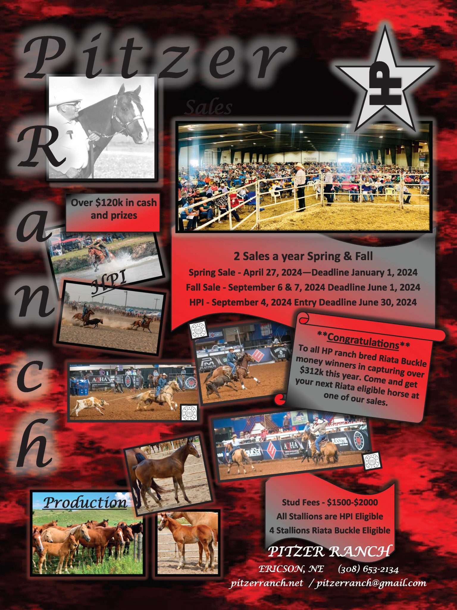 Rope Horse Breeder's Guide Program: Pitzer Ranch