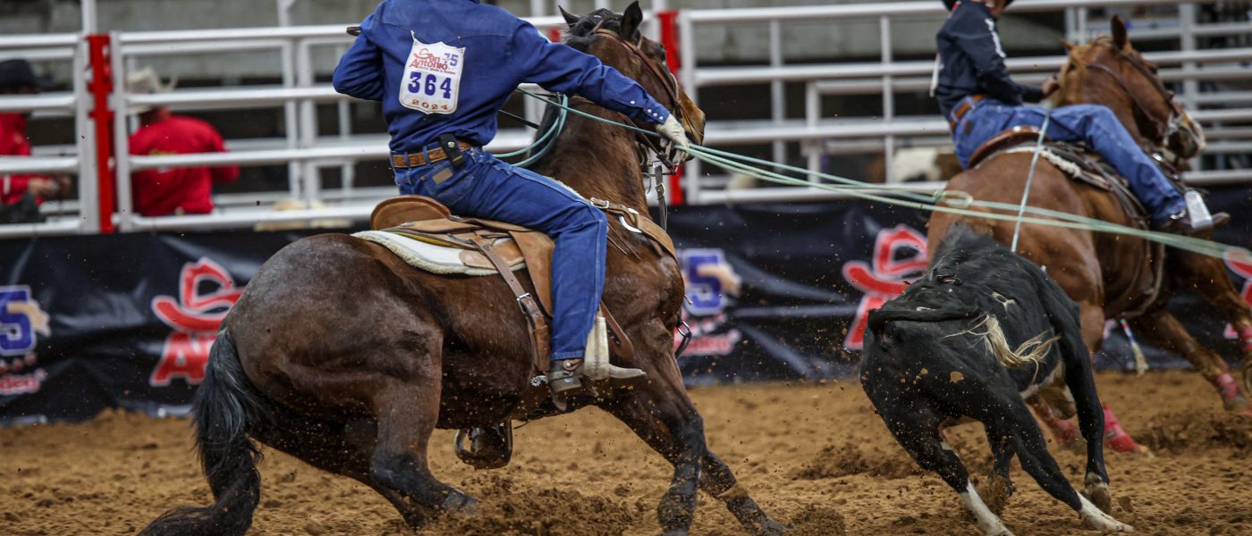 Colter Todd heeling a steer for Derrick Begay in the Finals at the 2024 San Antonio Stock Show & Rodeo.