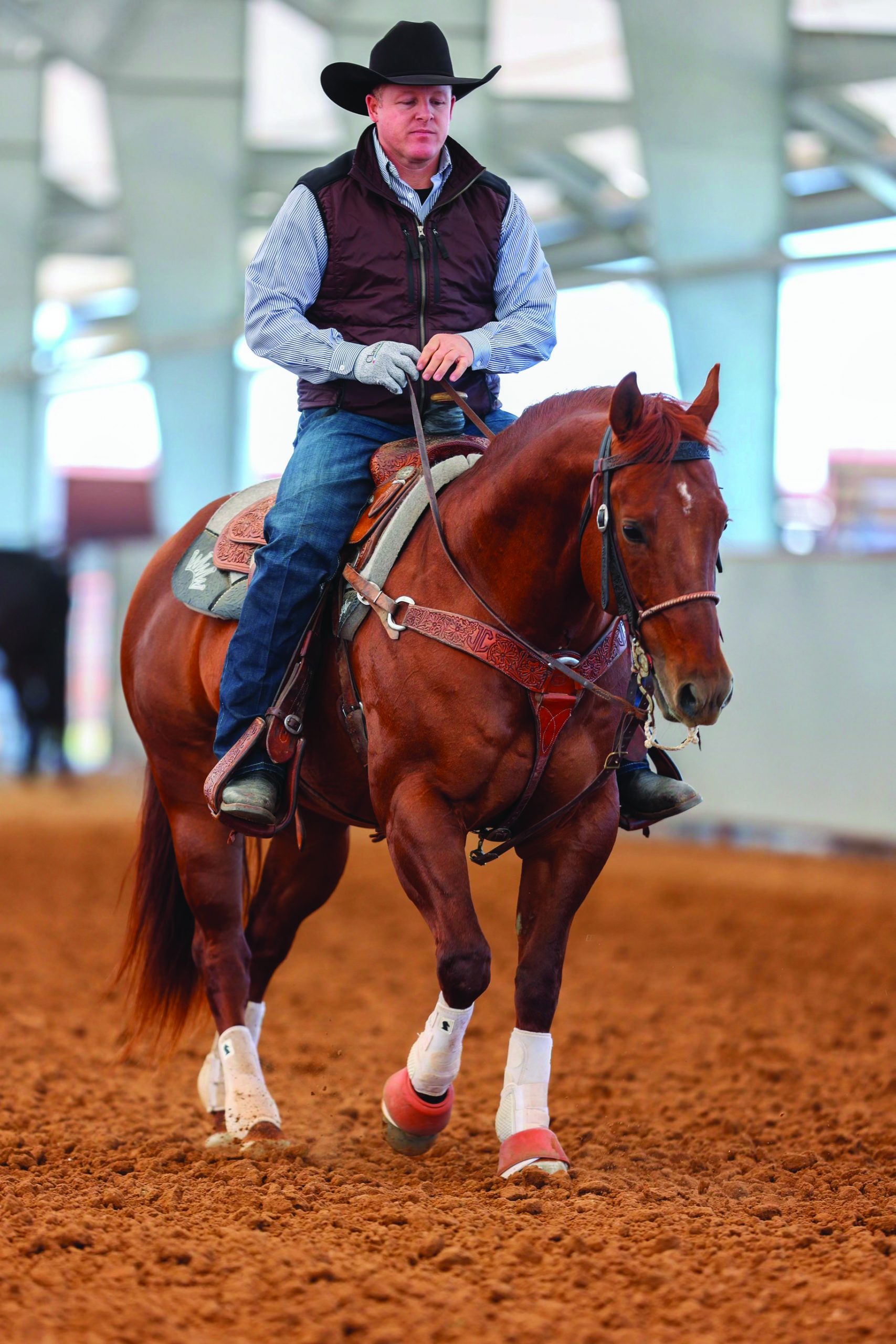 Jake Cooper riding stallion Reys of Pep.