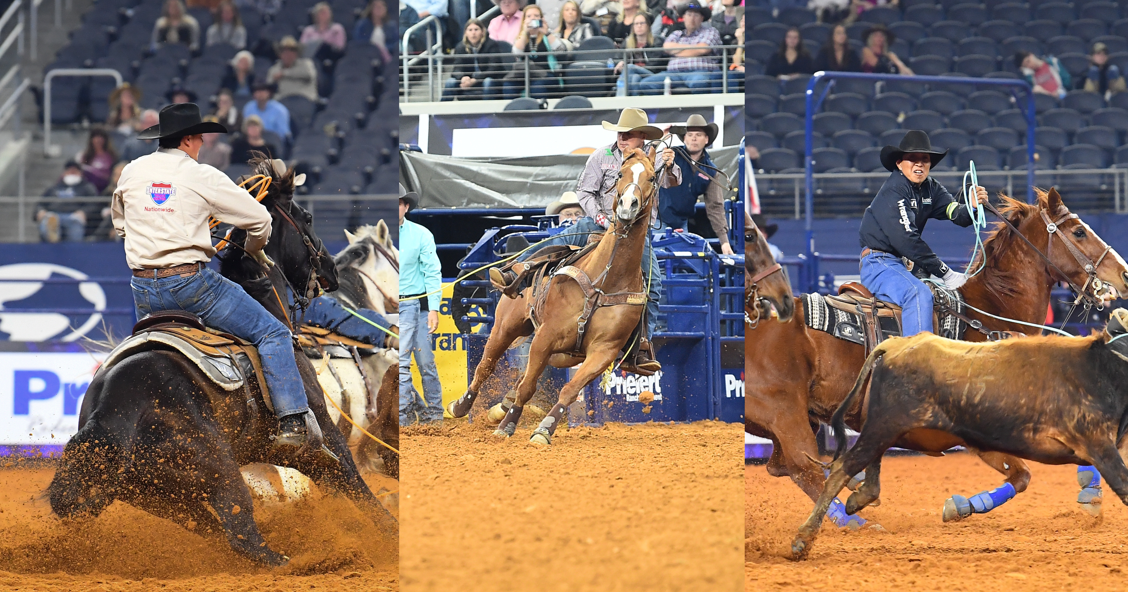 American Rodeo Team Roping