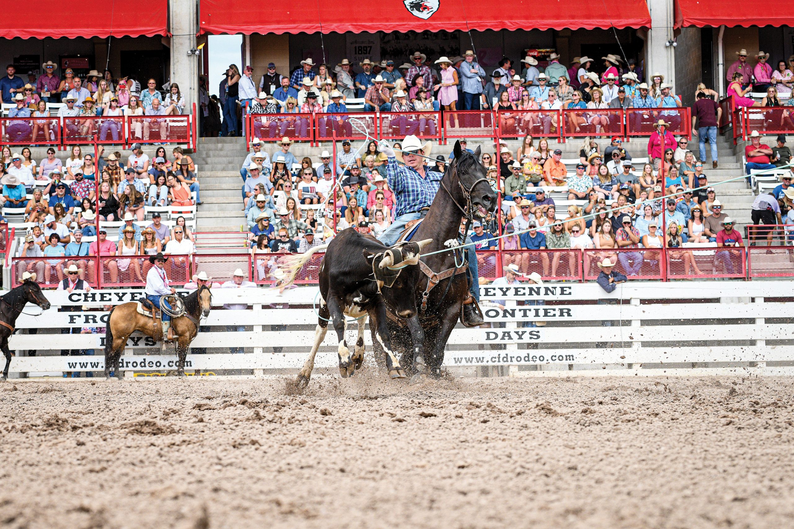 Lane Mitchell heeling at The Daddy in Cheyenne