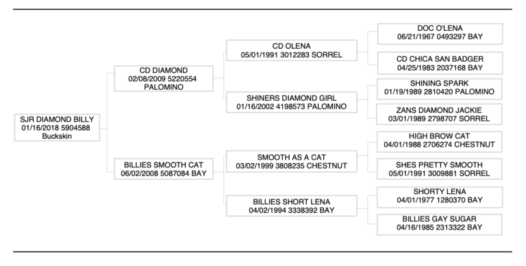 Screenshot-2024-03-27-at-12.16