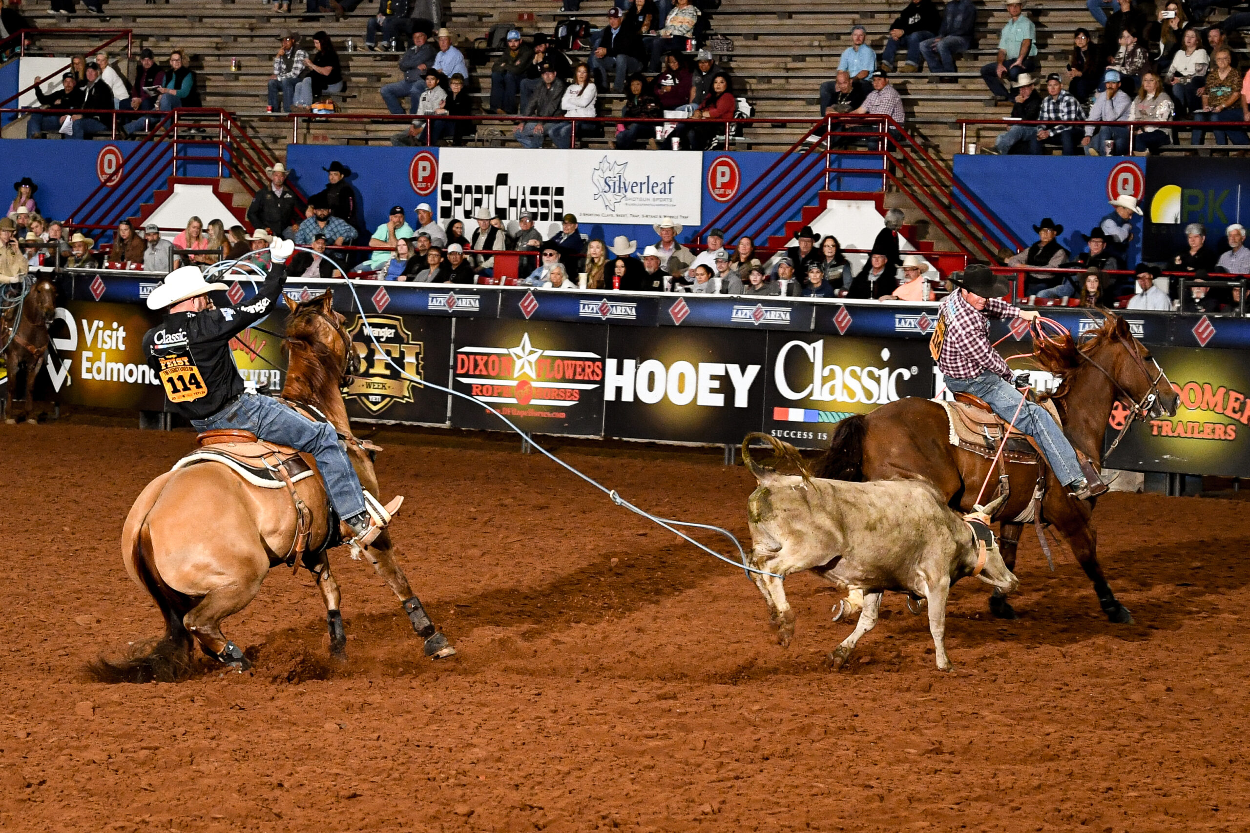 Joseph Harrison heeling steer BFI