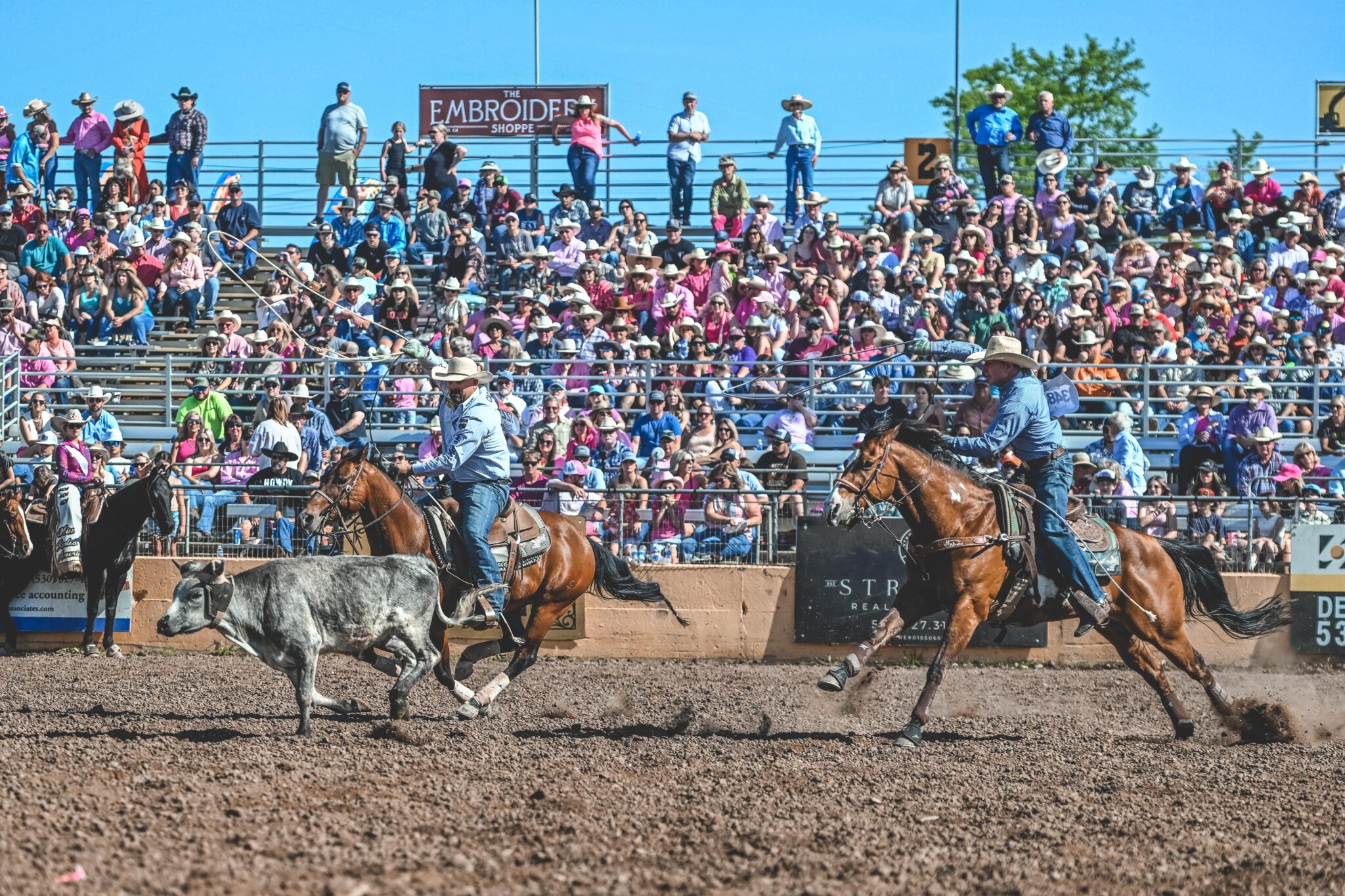 Masters, Cox Win Red Bluff RoundUp Team Roping The Team Roping Journal