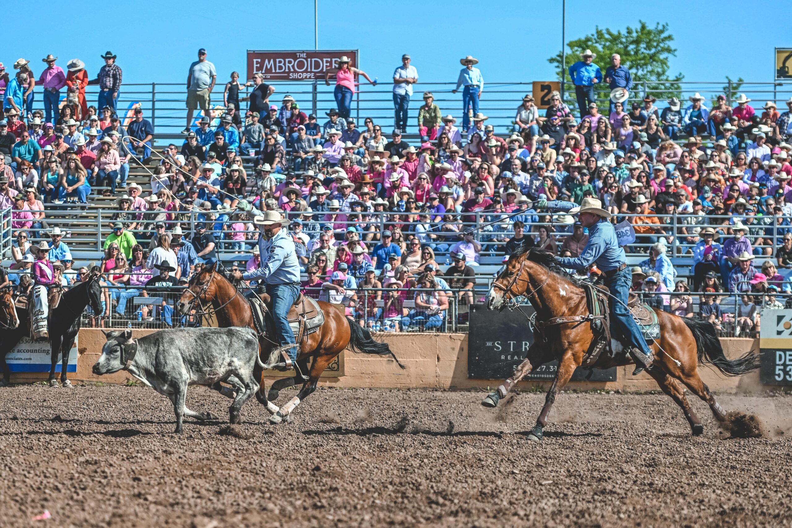 Red Bluff Team Roping