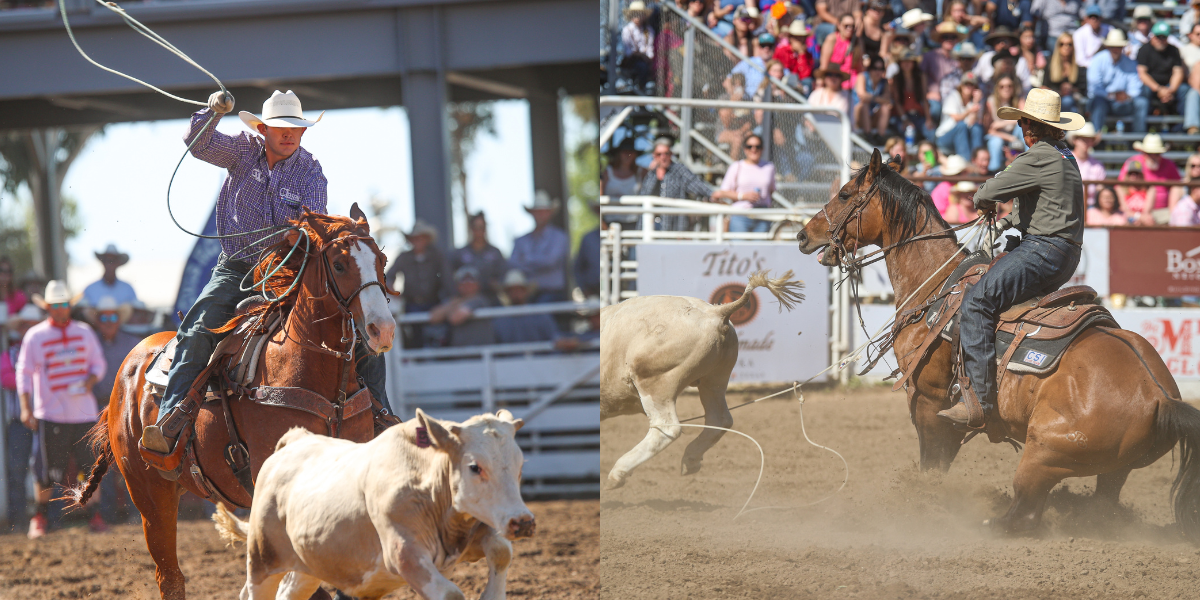 Korbin Rice and Caleb Hendrix roping a muley to win the 2024 Clovis Rode.