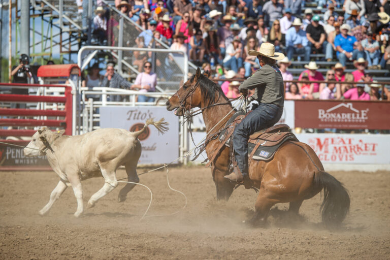 Caleb Hendrix heeling a steer to win the 2024 Clovis Rodeo.