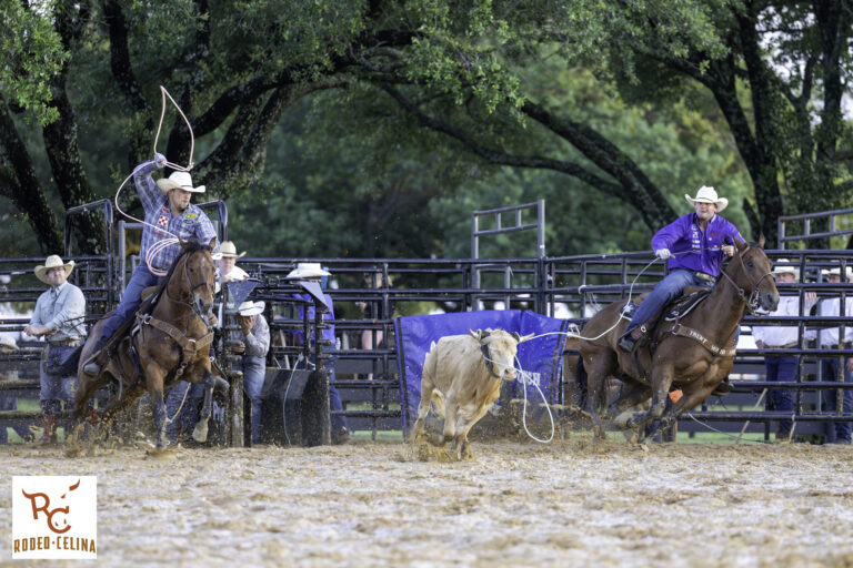 Dustin Egusquiza heading a steer for Levi Lord to win Rodeo Celina in 2024.
