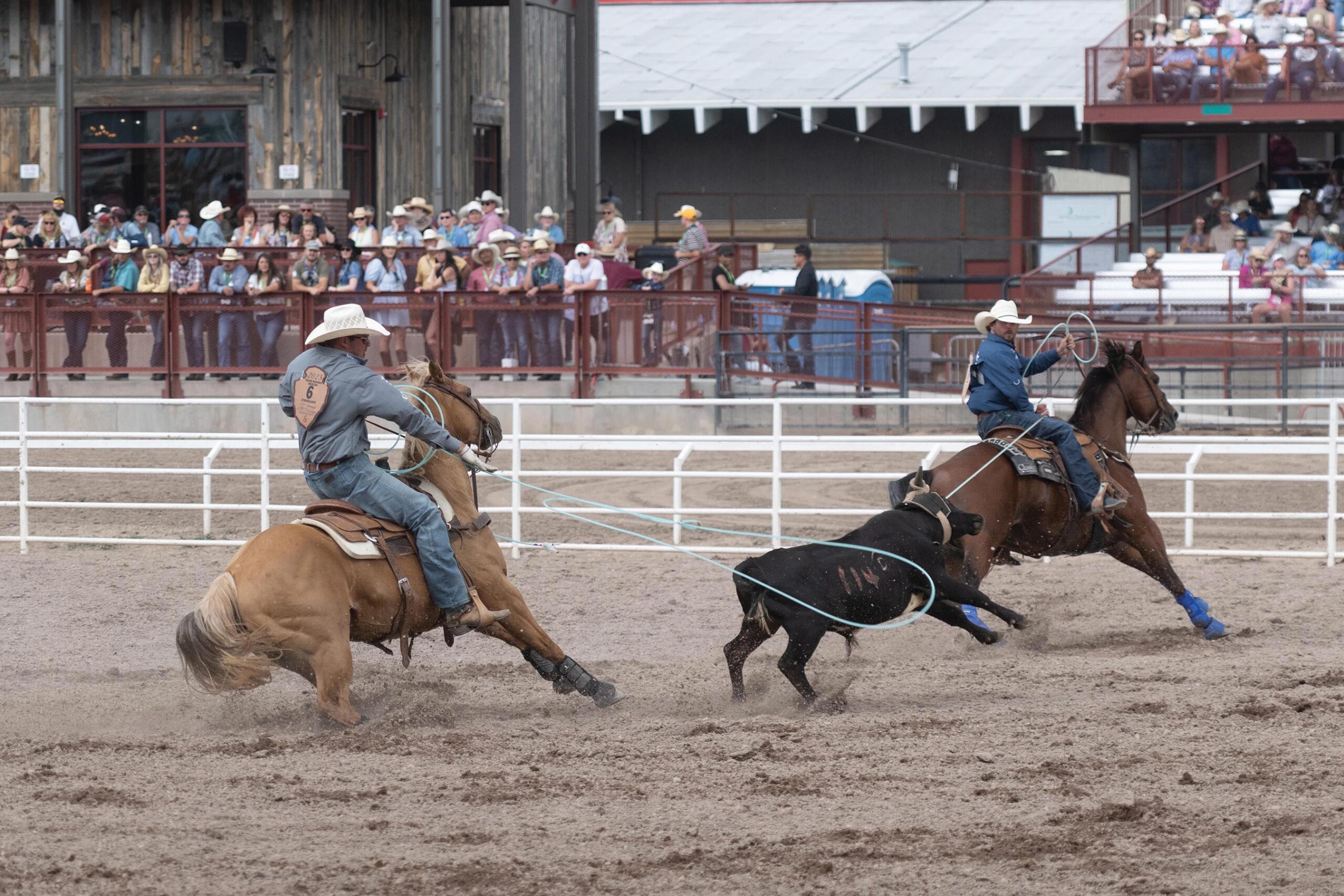 Kirby Blankenship and Billy Bob Brown team roping at Cheyenne Frontier Days in 2023.