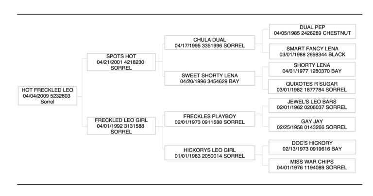 Screenshot-2024-07-05-at-11.28