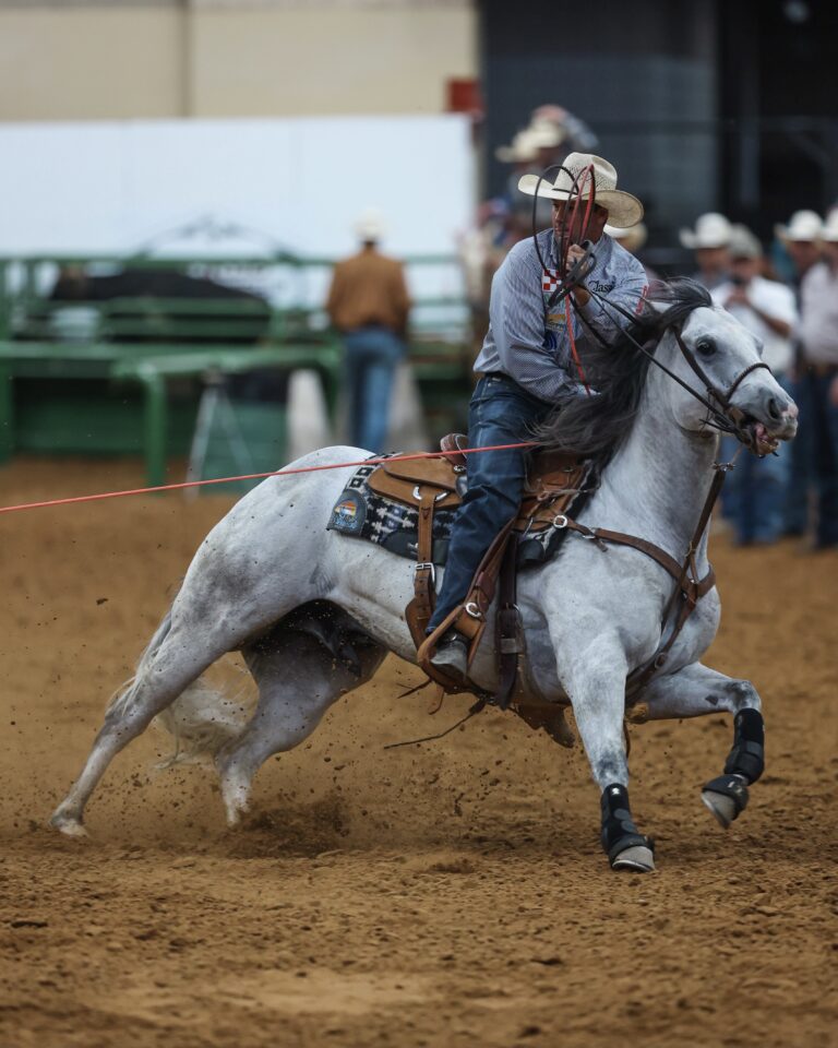 EE09E9AA-321B-487C-BDEB-602477671841