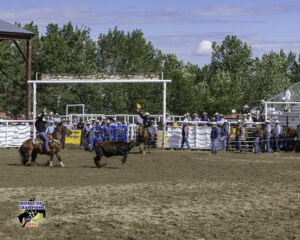 Logan Moore heeling a steer for Tyler Tryan in Red Lodge, Montana.
