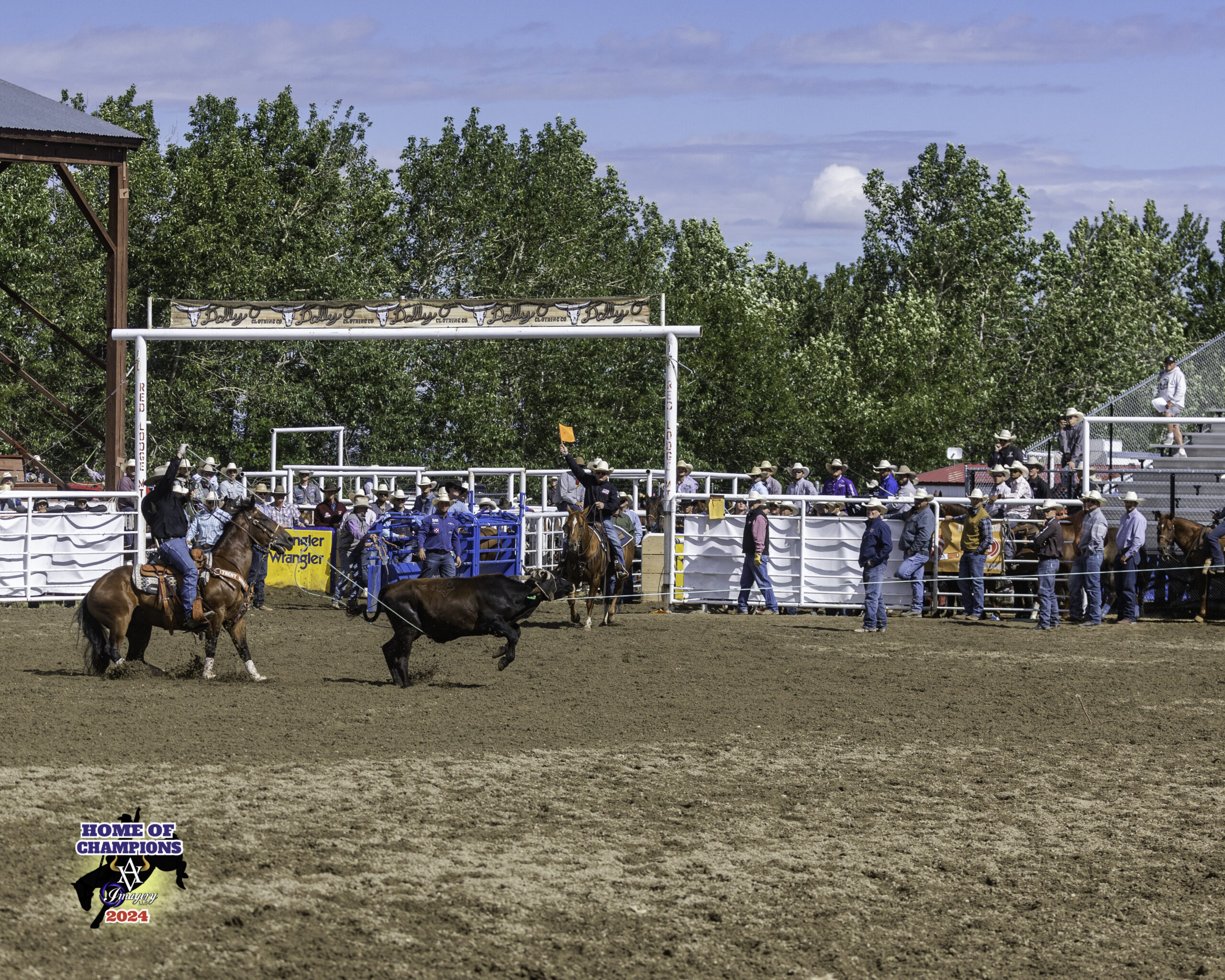 Logan Moore heeling a steer for Tyler Tryan in Red Lodge, Montana.
