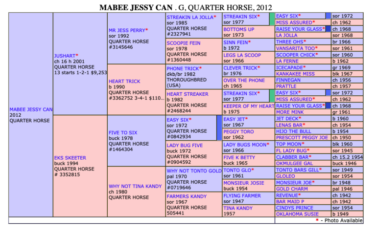 Mabee Jessy Can pedigree