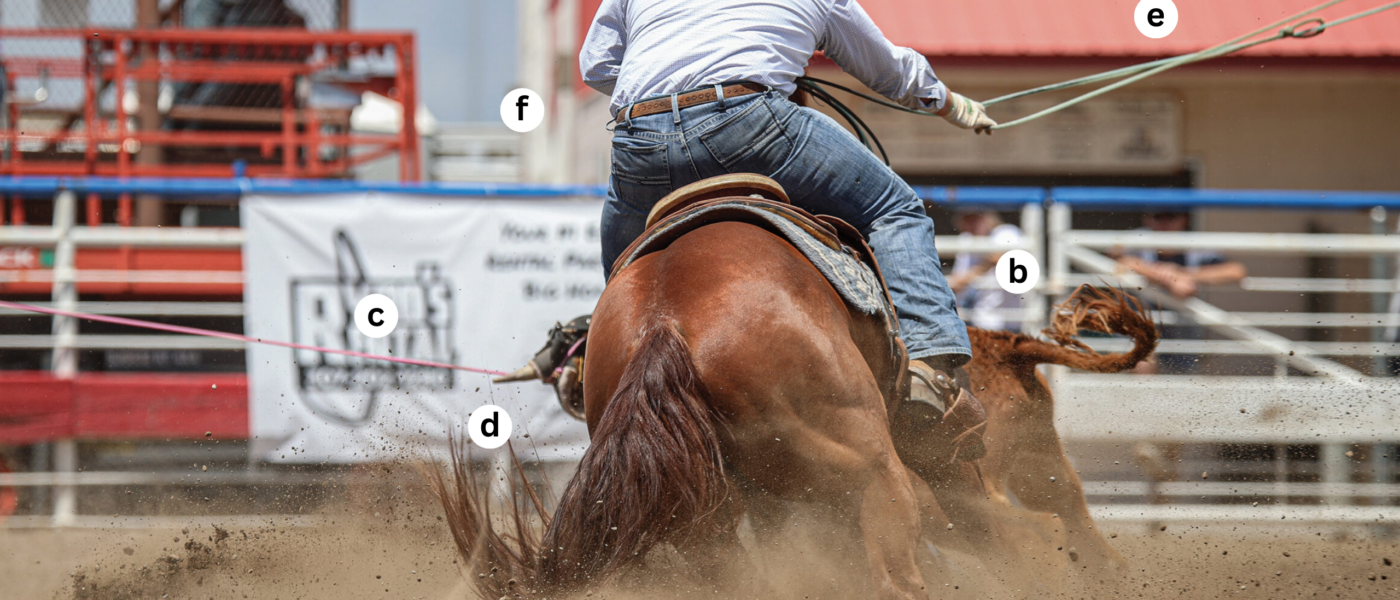Cooper Freeman heeling at the 2024 Cody Stampede