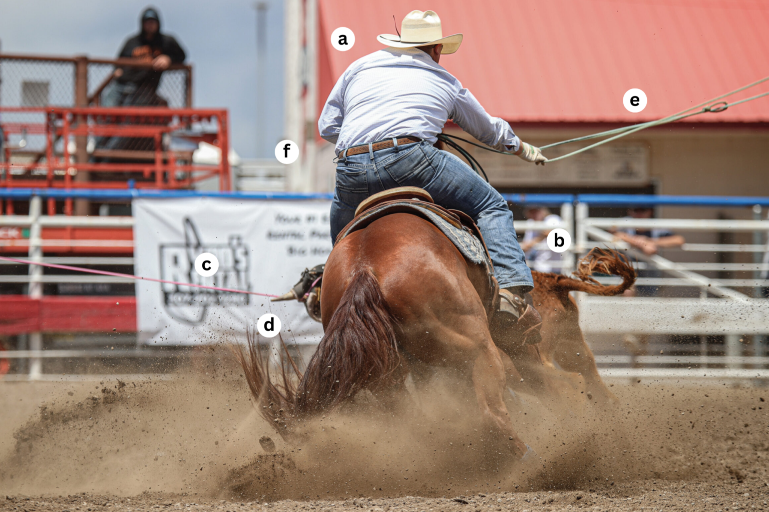 Cooper Freeman Breaks Down Cody Stampede Winning Run