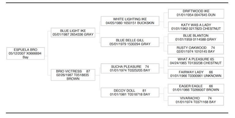 Tyler Wade's Espuela Bro, aka Spur