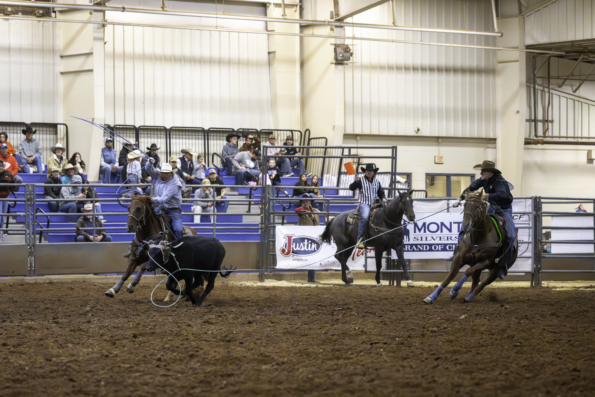 Mason Appleton heading a steer for Rance Doyal at the 2024 Prairie Circuit Finals.