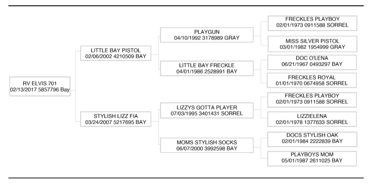 Koby Sanchez' RV Elvis 701