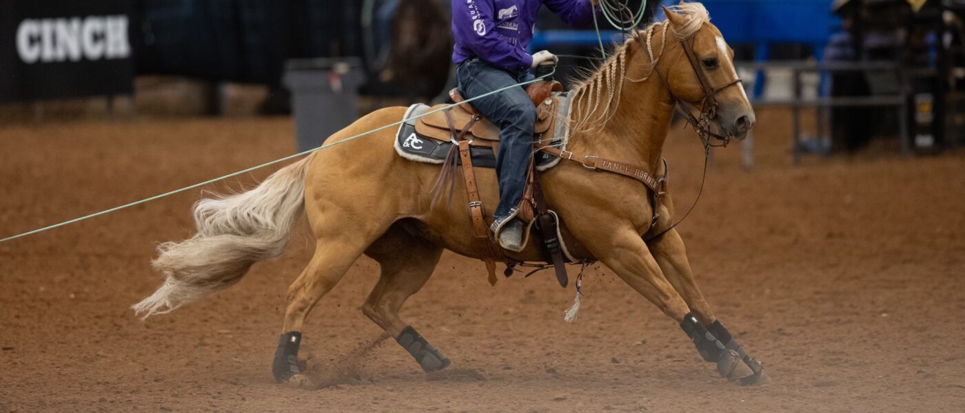 SJR Diamond Bond Rhen Richard