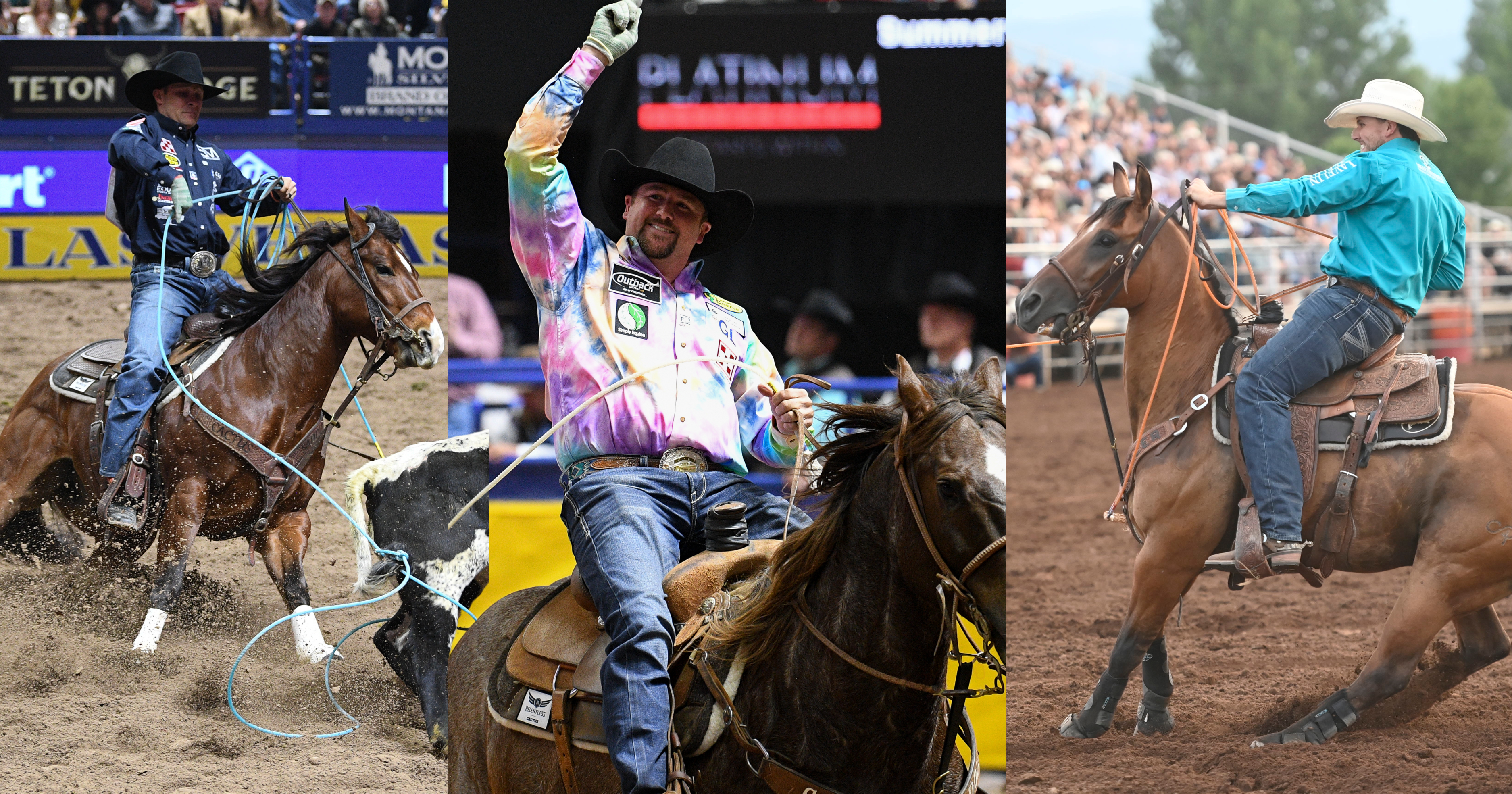 NFR Heel Horses