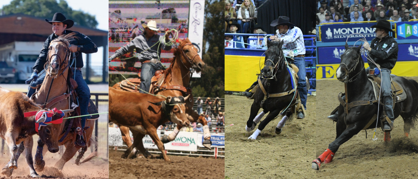 Senior team roping horses