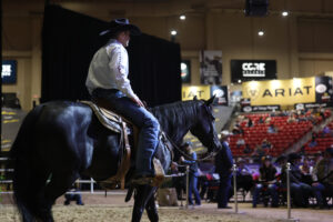 Riata stallion showcase horse sale runnnin winners walks into the rin