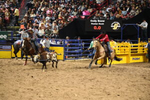 SJR Diamond Billy Cody Snow Hunter Koch Canteburys Cherrey