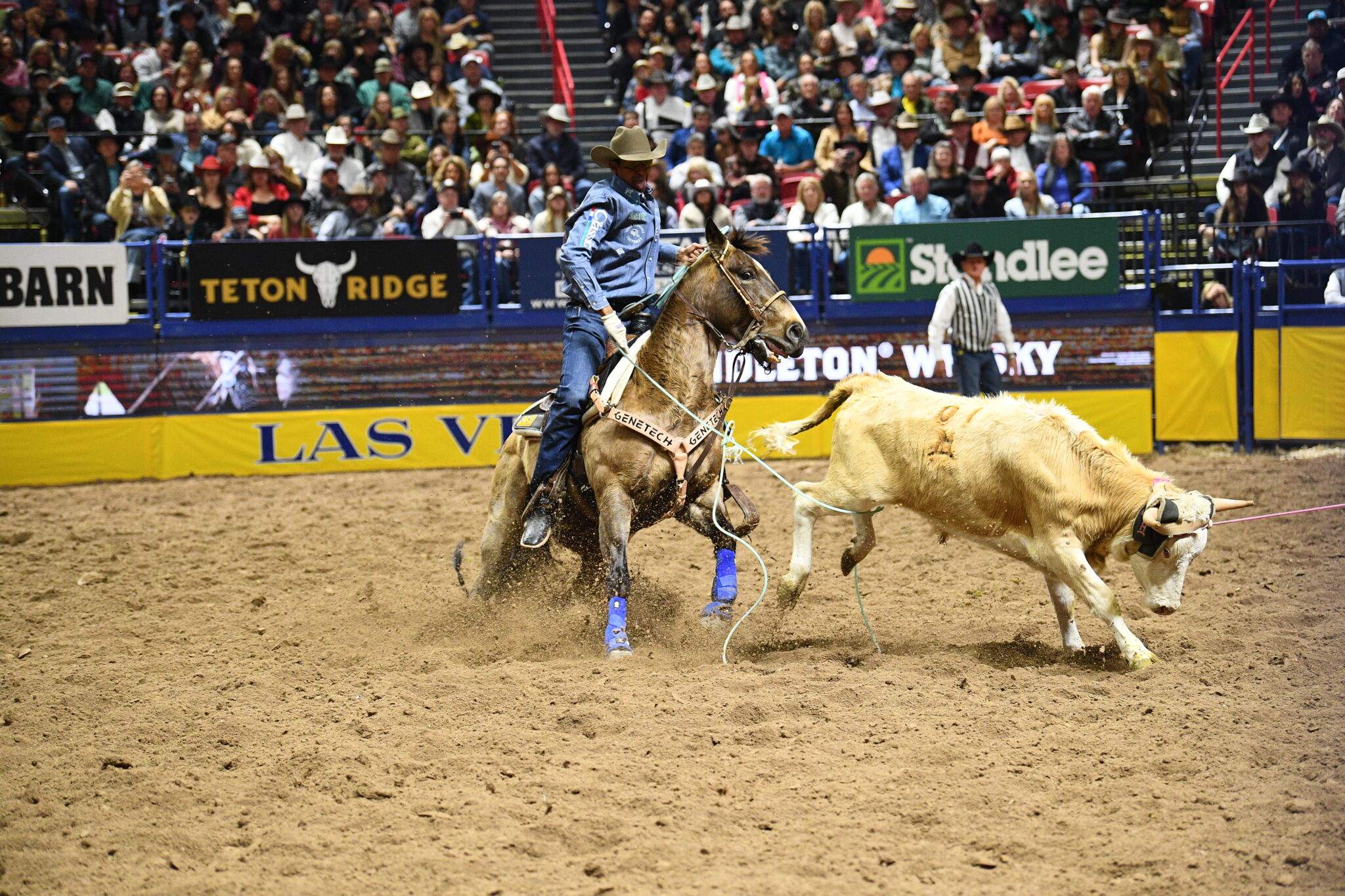 Driggers, Nogueira Fight Back with 2024 NFR Round 8 Win