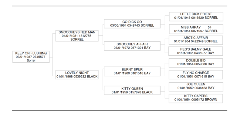 Screenshot 2024-12-13 at 4.09