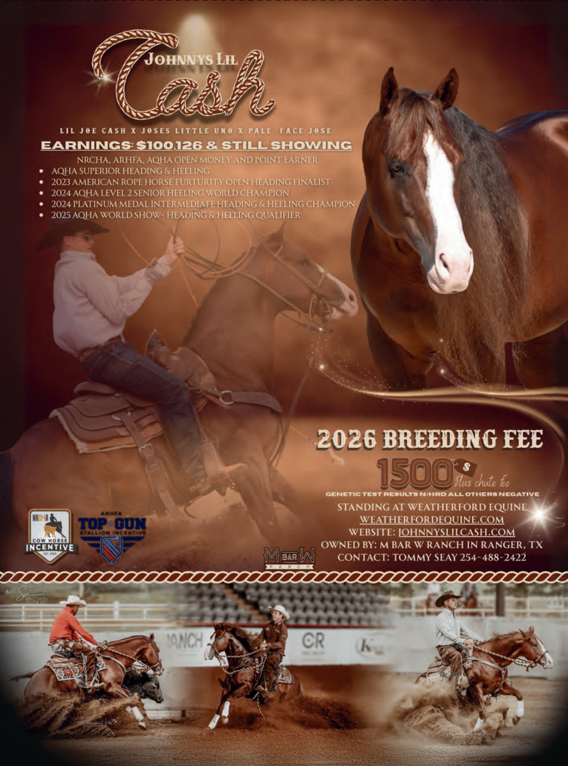 Rope Horse Breeder's Guide Stallion: Johnnys Lil Cash