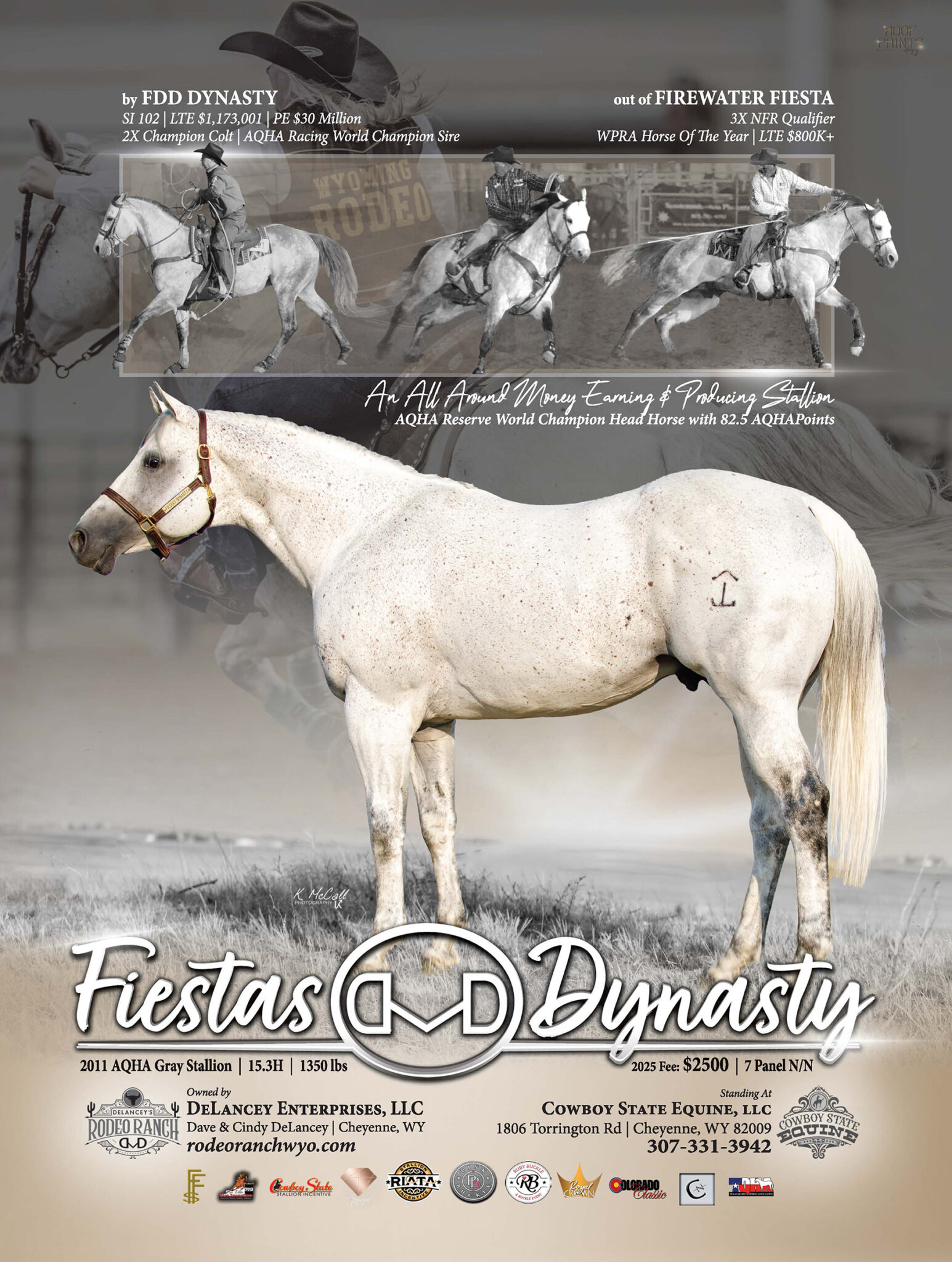 Rope Horse Breeder's Guide Stallion Fiestas Dynasty