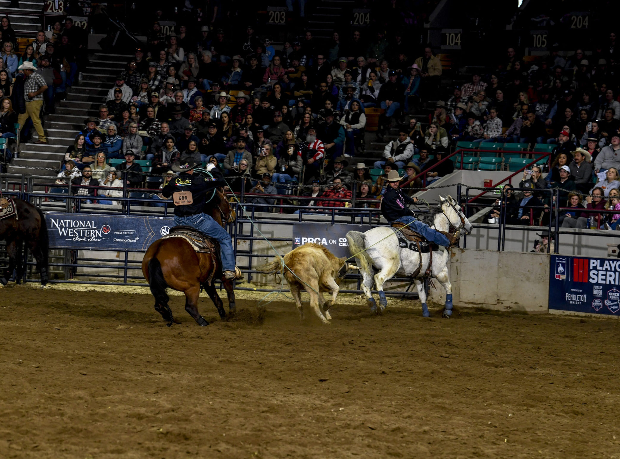 Trey Yates heeling a steer behind Luke Brown in Denver.