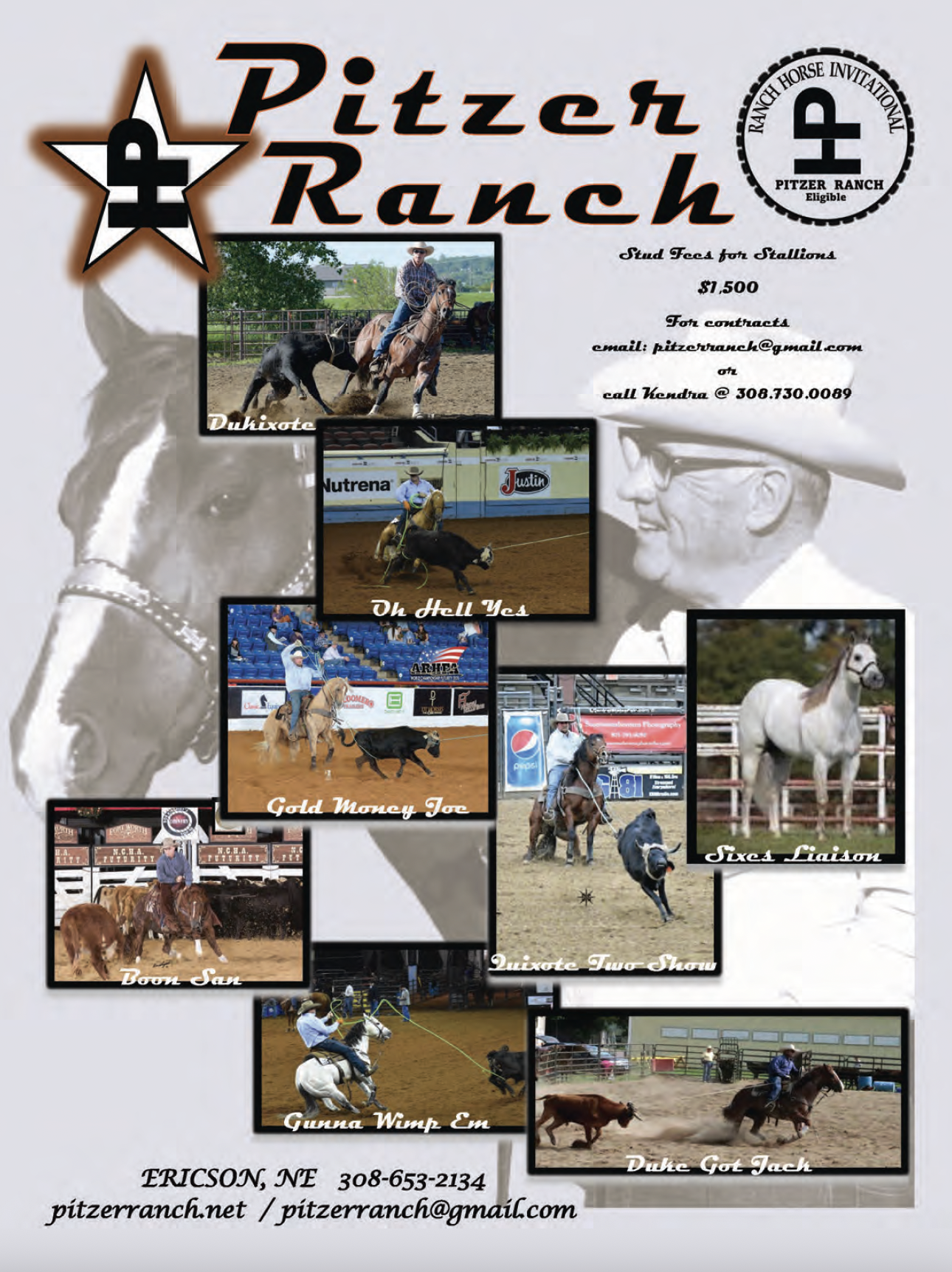 Rope Horse Breeder's Guide: Pitzer Ranch