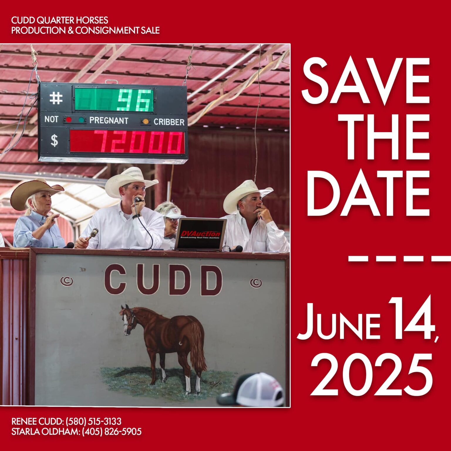 2025 Rope Horse Sales