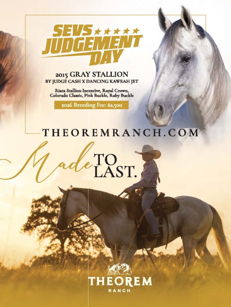 sevs judgement day 2026 ad