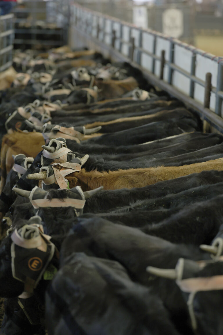 April_25_MCS_9666 copy